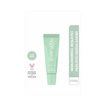 Everyday Beauty Aloe Vera Özlü 3 Etkili Lip Balm 10 ML