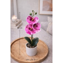 Yapay Orkide Saksılı 34 Cm 3 Başlı Dekoratif Çiçek Gerçek Görünümlü Phalaenopsis Orkide