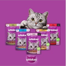 Whiskas Sığır 5 Adet Tavuk 5 Adet Somon 5 Adet Ton Balıklı 5 Adet Kuzulu 4 Adet Karışık Yaş Kedi Ma