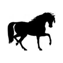 At Araba Sticker Yapıştırma 25Cm