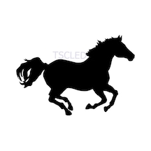 Koşan At Sticker Araba Yapıştırması
