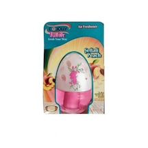 Ejolly Küre Oto Kokusu 100 ML Şeftali Peach