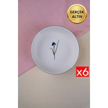 Çok Renkli