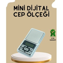 Kapaklı Dijital Cep Terazisi Hassasiyet 300 Gr Ahşap - Şeffaf