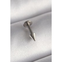 316l Çelik Gümüş Renk Çivi Model Piercing 22920777