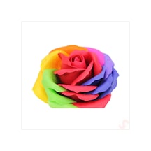 Yapay Çiçek, Gökkuşağı 7 / 8 Cm Sabun Gül Kafası - 1 Adet