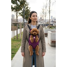 Kedi Ve Köpekler İçin Anakucağı M 5976