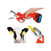 Akülü Küpe Takma Pensi