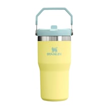 Stanley Buz Akışı Go 600ml/20oz Flip Straw Wtr Btl Pomelo Çok Renkli