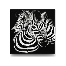 Siyah Beyaz Zebra Tablosu - 60x60cm 7/8 Yaş