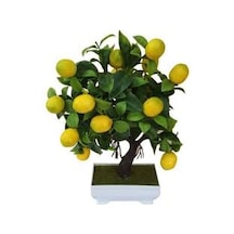15 Adet Tohum Organik Hobi Bahçe Balkon Limon Bonsai Ağaç Tohumu