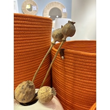 Rover Çok Amaçlı Düzenleyici Sepet, Saksılık, Organizer 30-30, Orta Boy Turuncu