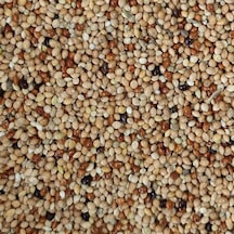 1 KG