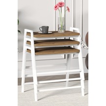 Beyaz - Atlantik Çam