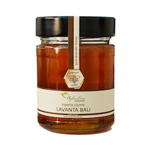 Ayhan Ercan Isparta Süzme Lavanta Balı 350 G