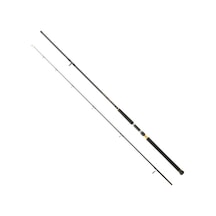 Daıwa Legalıs Sj Cf 2.90m 28-84gr 2p Shore Jıg Kamışı