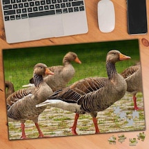 Ördek Sürüsü 240 Parça Puzzle Yapboz-3487734