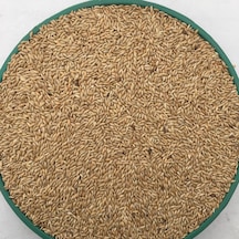 Vivid Kanarya Kuş Yemi Sade Aspur 10 KG