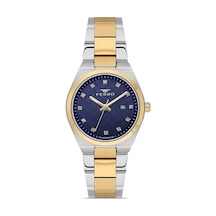 Ferro Fl21631awt-d3 Quartz Çelik Altın/gri Lacivert Kadran 32 Mm Kadın Kol Saati Gri