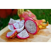 Tropikal Beyaz Ejder Meyvesi 10+Tohum