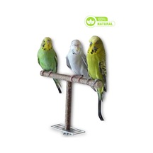 Kuş Standı Masa Üstü Taşınabilir T-stand, Küçük Ve Orta Boy Papağanlar İçin Oyun Alanı