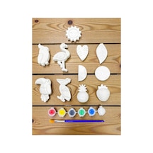 Tropikal Kuşlar Ve Meyveler Taş Boyama Seti Workshop - Baby Shower - Doğumgünü Çocuk & Yetişkin