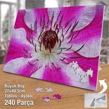 Akasma Çiçeği - Beyaz - Pembe - Bitki Yapboz -ayak Destekli Çerçeveli 240 Parça Puzzle