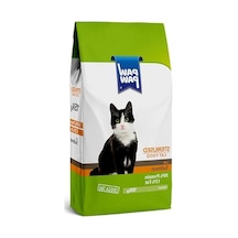 15 Kg Somonlu Kuru Kedi Maması, Kısırlaştırılmış Kediler İçin 100 G