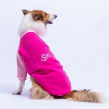Fuşya Boston Pawstar Sweat Orta-büyük Irk Köpek Sweatshirt Köpek Sweat Köpek Kıyafeti