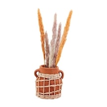Mud Pie Küçük Terracotta Rattan Vazo 5 1/2 "x 4 3/4" Çap