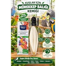 Mürekkep Balığı Kemiği Medium 19-20 Cm + Kafes Aparatı Muhabbet Ve Papağanlar İçin Doğal Kalsiyum Kaynağı