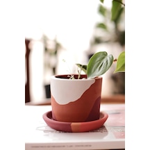 Terracotta Saksi + Tabak Bordo Beyaz 10x9cm