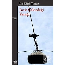 İncir Çekirdeği Yanığı - Erkök Yılmaz - Yapı Kredi Yayınları