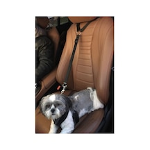 Evcil Hayvan Araç Araba Oto Koltuk Başlığına Takılan Kemer Tasma Emniyet Kemeri Kedi Köpek Siyah