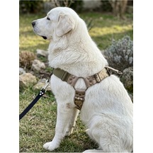 Köpek Göğüs Tasması Ayarlanabilir Büyük Irk Ön Ve Arka Çekmeli Kolon Kordon Kamuflaj
