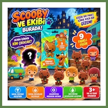 Bezos Cool Things Scooby Doo Buddies 3d Sürpriz Figür Paketi Hb006 Scooby-doo