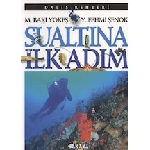 Dalış Rehberi Sualtına İlk Adım