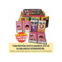 Squid Game 2. Sezon 2025 Karakter Kartları - 1 Mini Kutu 6 Kart + 2 Sticker