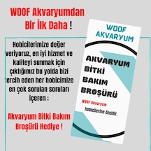 Ceratophyllum Demersum Tilki Kuyruğu Kolay Akvaryum Bitkisi 1 Bağ