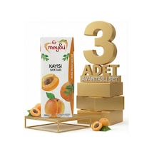 Meysu Nektar Kayısı 3x200 Ml