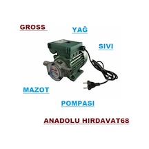Gross 220 Volt Yağ Mazot Sıvı Aktarma Pompası 3 4 Elektrikli