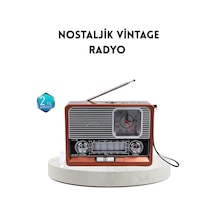 Dekoratif Vintage Radyo Klasik Görünüm Modern Fonksiyon Ve Uzun Ömürlü Kul - Haluna2399-2 Renkli