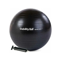 Merrithew Health & Fitness Stability Ball - 55cm, With Pump Black St-06206