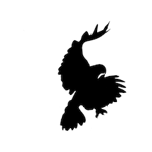 Avını Yakalamış Geri Dönen Kartal Sticker 17Cm