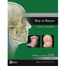 Açıklamalı İnsan Anatomisi Atlası-3