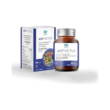 Art Victus Yumurta Kabuğu Zarı, Metilsülfonilmetan, Tip 2 Kollaje Art Victus Yumurta Kabuğu Zarı, Metilsülfonilmetan, Tip 2 Kollaje