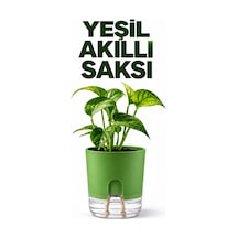 Akıllı Saksı Kendinden Sulamalı Fitilli Modern Dekoratif Saksı 2 Litre 74337910