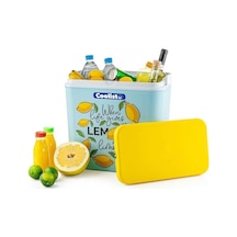 Ayrex Coolist Clb30lm Limon Desenli Buzluk, 30 Litre + 3 Adet Buz Kaseti 400gr Diğer