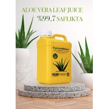 Fantomamour Aloe Vera Suyu 5 L
