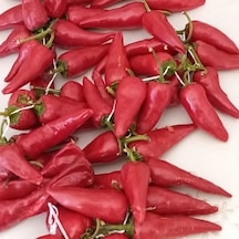 Arnavut Çüçka Çok Acı Biber Tohumu 10 Ad